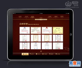 精湛的技術，優(yōu)秀的服務 深圳軟件開發(fā)公司的卓越之道